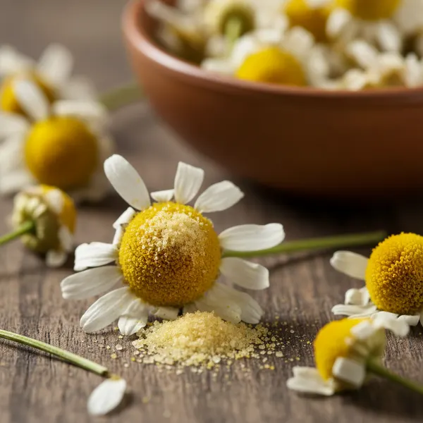 Apigenin (from Chamomile)
