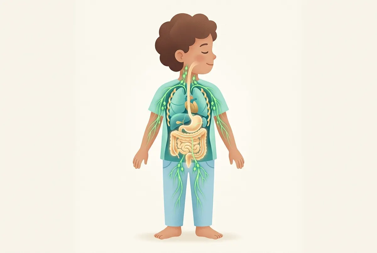 A transparent anatomical cutaway of a child's torso showing a simplified glowing digestive tract in the center, luminous g...