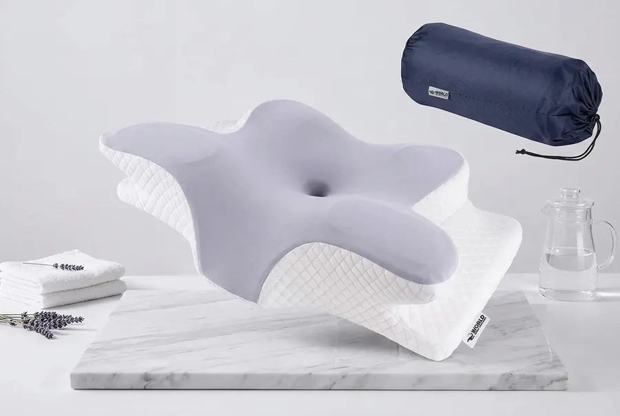 Butterfly Pillow 2.0