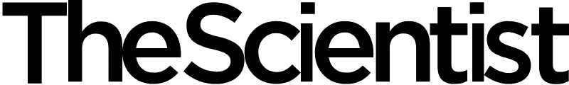 Press Logo 1 logo