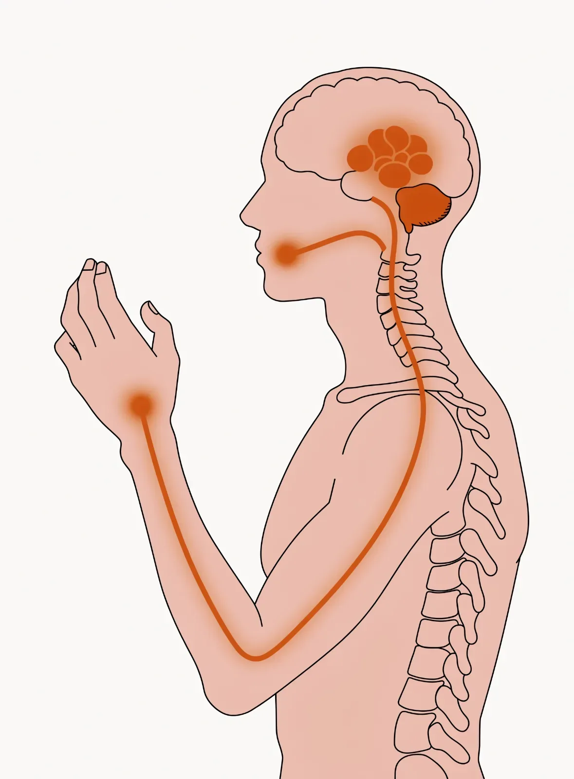 One simplified human figure in profile, showing the brain and hand connected by a single glowing orange (#ff6b35) neural p...